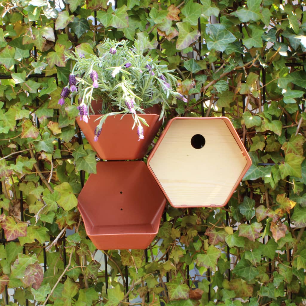 CAPI CAPI VOGELHUISJE HIVE 1 Agujero redondo 19x23x20 cm Brown