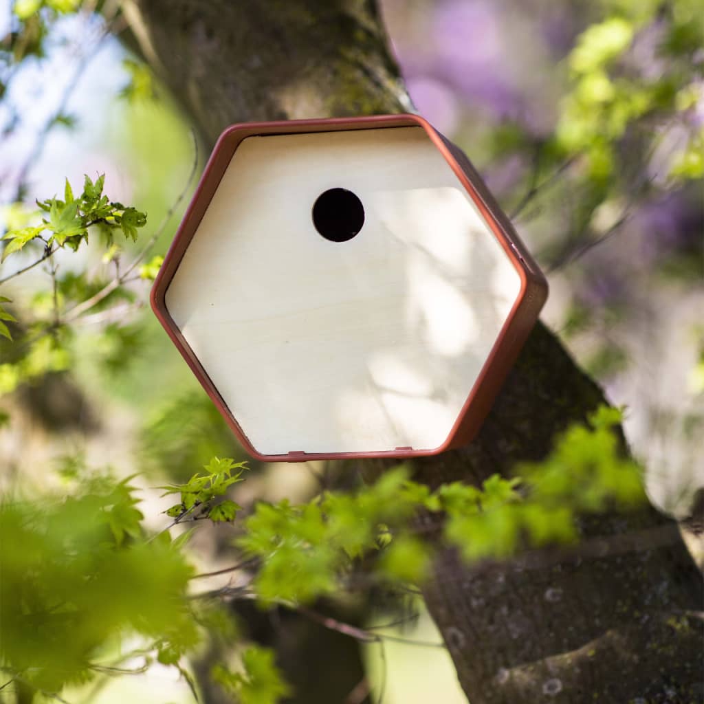 CAPI CAPI VOGELHUISJE HIVE 1 Agujero redondo 19x23x20 cm Brown