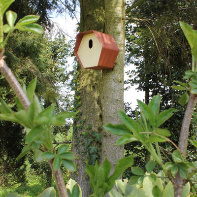 Capi Capi Vogelhuisje Hive 2 Oval Hole 19x23x20 cm marrón