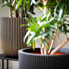 Capi CAPI Fiorter Groove 35x34 cm Black and Gold Coloded