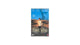 DVD DVD casi salinas