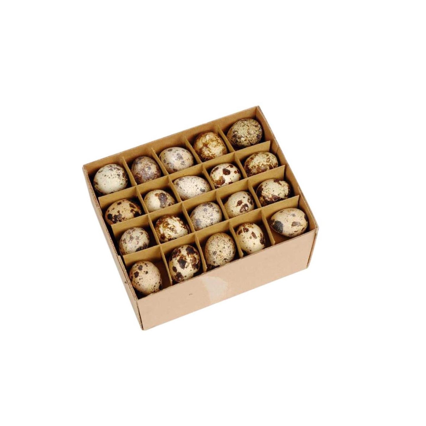 HBx huevos de codorniz natural living caja de 60 piezas