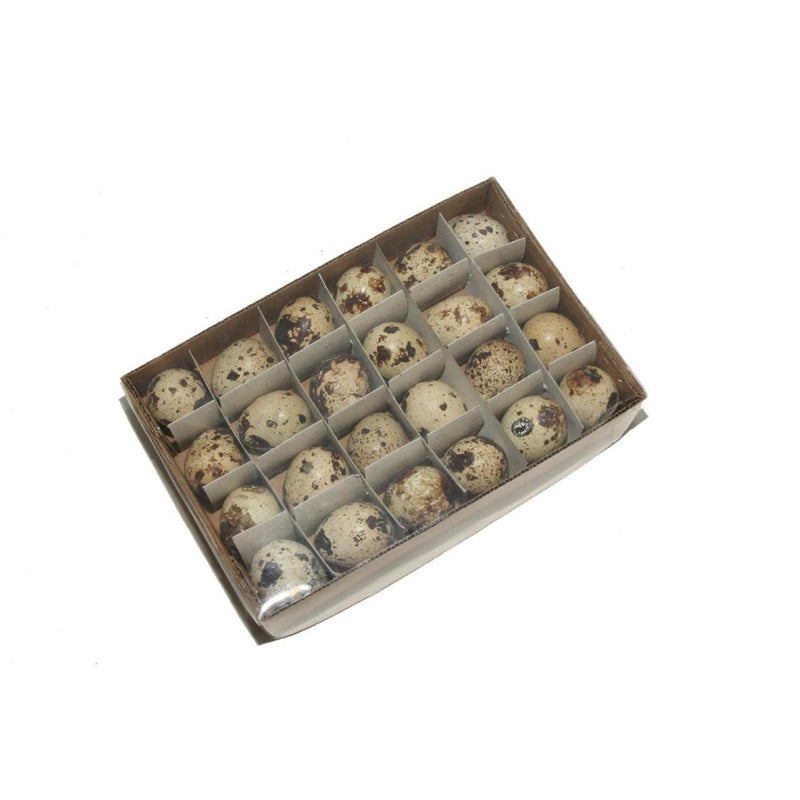 Hbx natural living kwartel eieren doos a 24 stuks