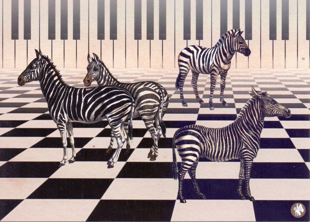Cartolina illustrata cd03: pianoforte zebrato 6 pz