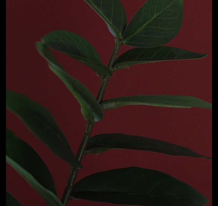 Pianta artificiale Countryfield verde 48x44x65cm