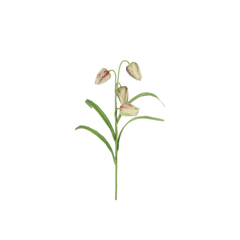 Fritillaria fiore artificiale Countryfield m colorato h57cm
