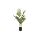 Pianta artificiale Countryfield kentia m verde l70w70h100cm