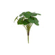 Pilea artificiale Countryfield 22x22x25 cm