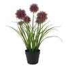 Countryfield kunstplant allium h60cm