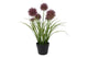 Pianta artificiale Countryfield Allium h60cm