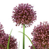 Countryfield kunstplant allium h60cm