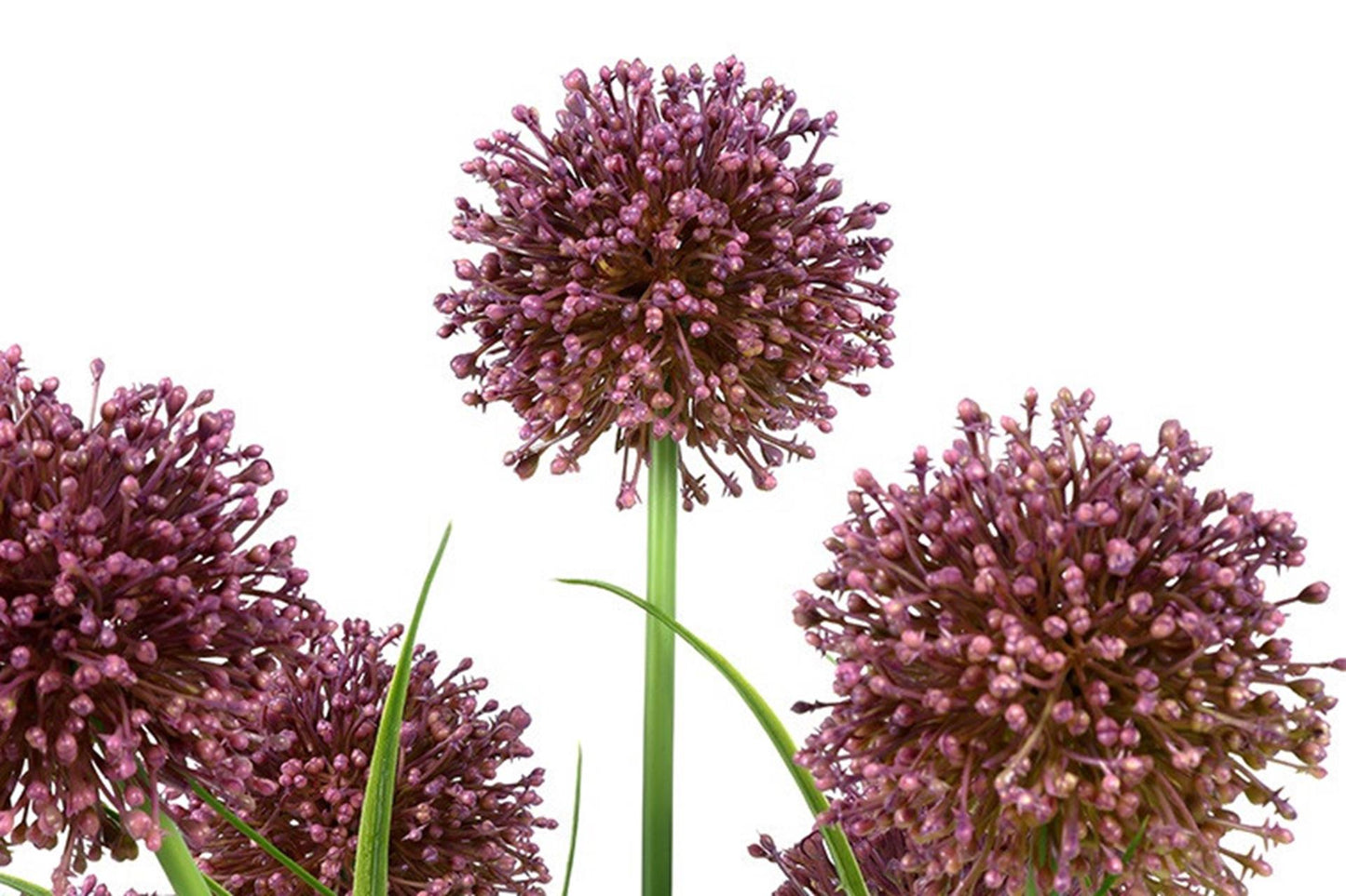 Countryfield kunstplant allium h60cm