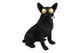 Countryfield bulldog dex negro h43,5cm