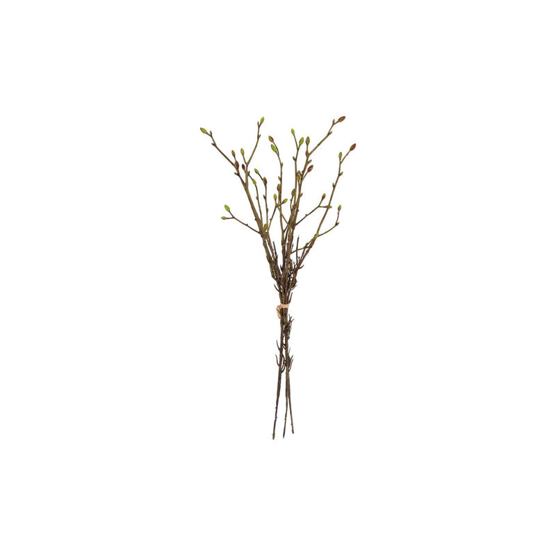 Pacchetto artistico Countryfield Tilia 3x verde l42w15h5cm