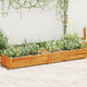 Casella di pianificazione Vidaxl raccolta 200x50x25 cm acaciahout