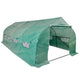 Polytunnel portatile Vidaxl Tuinkas con telaio in acciaio 18 m²