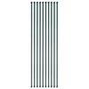 Vidaxl Garden Post 1,5 m in metallo 10 pezzi