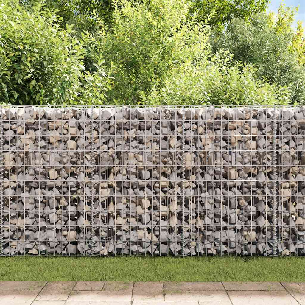 Vidaxl gabion mand 120x30x50 cm gegalvaniseerd staal