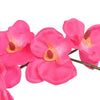 Vidaxl Orchid di piante artificiali con pentola di rosso 30 cm