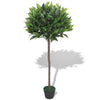 Vidaxl Art Laurier Tree Piante con pentola da 125 cm