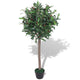 Vidaxl Art Laurier Tree Piante con pentola da 120 cm