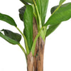 Vidaxl Art Banana Tree Piante con pentola 175 cm Verde