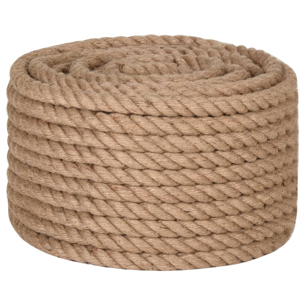 VIDAXL ROPE 100% IITY 20 mm 50 m