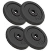 Vidaxl Halter Dischi 4 pezzi 4x5 kg in ghisa