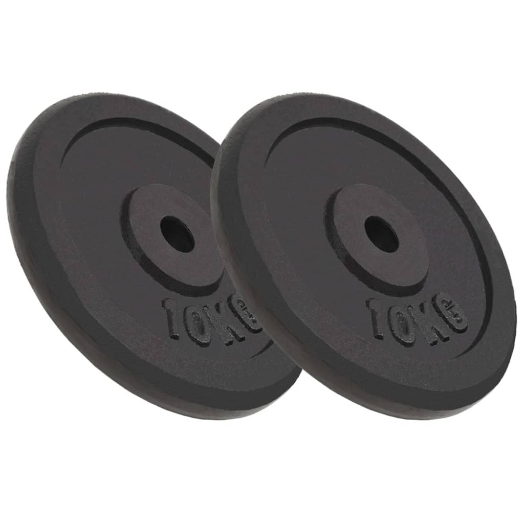 Vidaxl Halter Dischi 2 PC 2x10 kg in ghisa