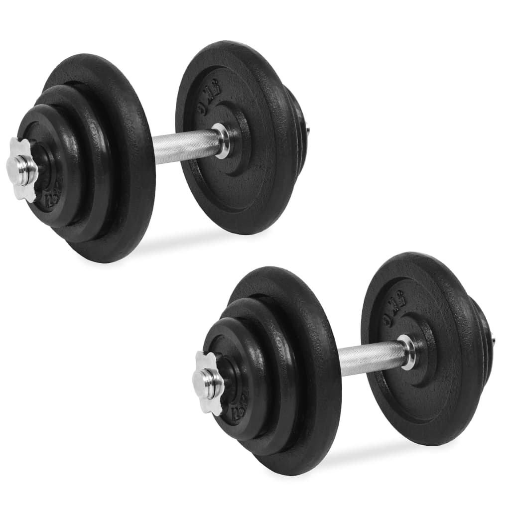 Vidaxl Dumbbell a 18 pezzi set 40 kg di ghisa