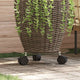 Vidaxl plantenrollers rond 28 cm gehard glas 2 st