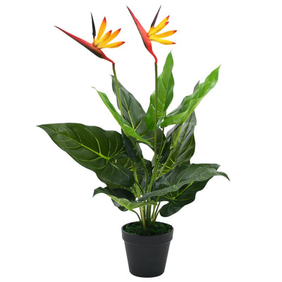 Vidaxl Plant Plant Paradise Bird Flower 66 cm