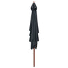 Ombrellone Vidaxl con palo in legno 200x300 cm antracite