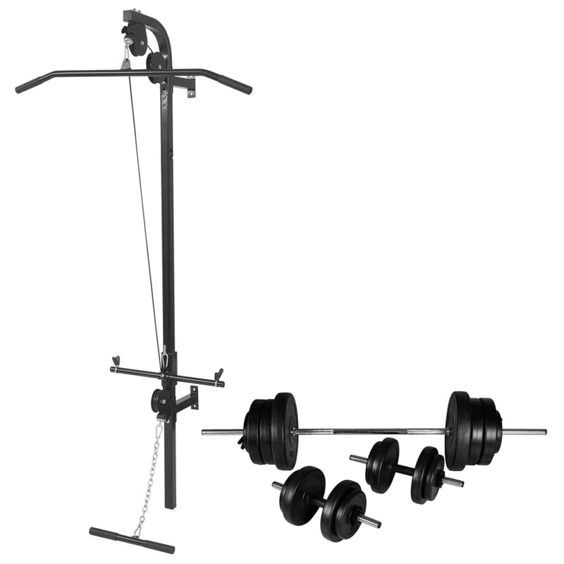 Vidaxl Power Tower para la pared con mancuernas 60.5 kg