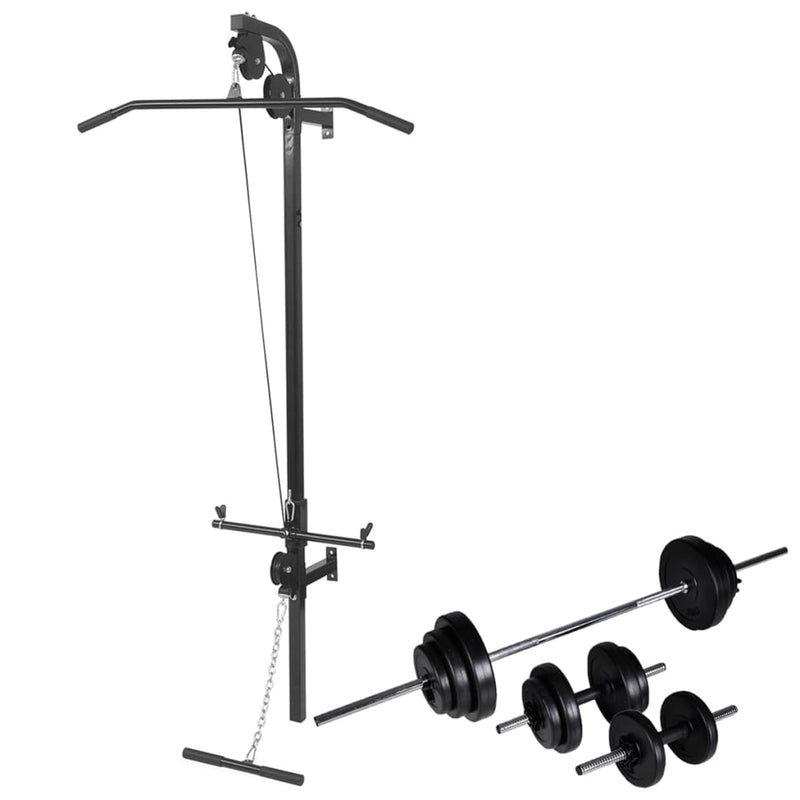 Vidaxl Power Tower para la pared con mancuernas 30.5 kg