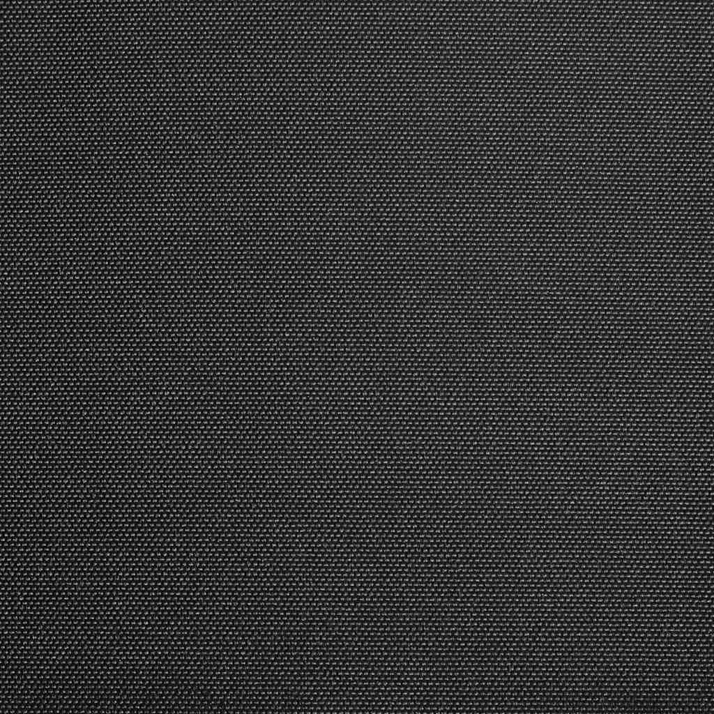Vidaxl Laifeldoek 300x250 cm de lona antracita