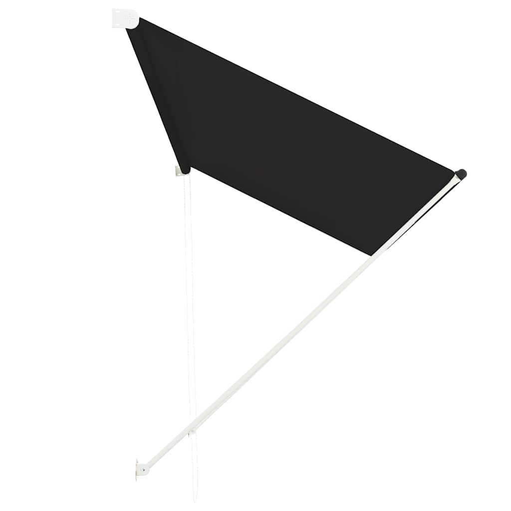 Vidaxl Luifel Extendible 300x150 cm antracita