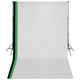 Vidaxl Photo Studio Conjunto con 3 fondos de algodón y marco 3x5 m