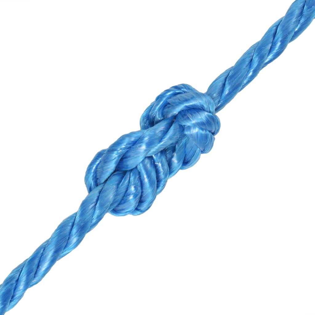 VIDAXL ROPE CORSATO 12 MM 250 M Polypropilene blu