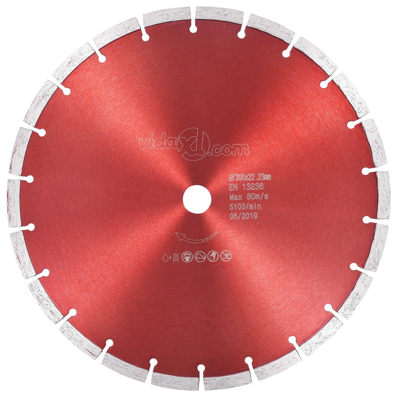 Vidaxl Diamond Saw Leaf 300 mm Acciaio