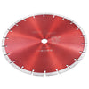 Vidaxl Diamond Saw Feaf 300 mm de acero