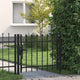 Porta Vidaxl Hek con lanci 100x75 cm