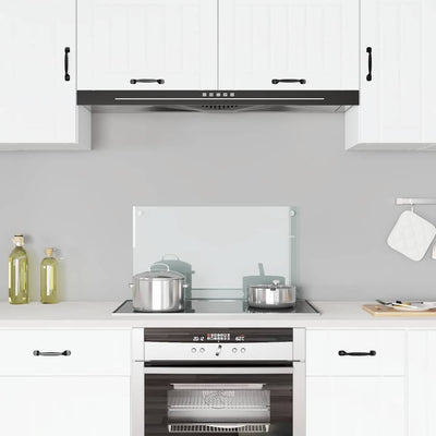 Vidaxl Splash Screen Kitchen 70x40 cm de vidrio termal transparente
