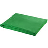 Vidaxl Background Chromakey 300x300 cm de algodón verde