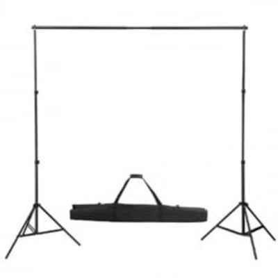 Vidaxl background system 300x300 cm green