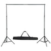 Sistema de fondo de Vidaxl 300x300 cm blanco