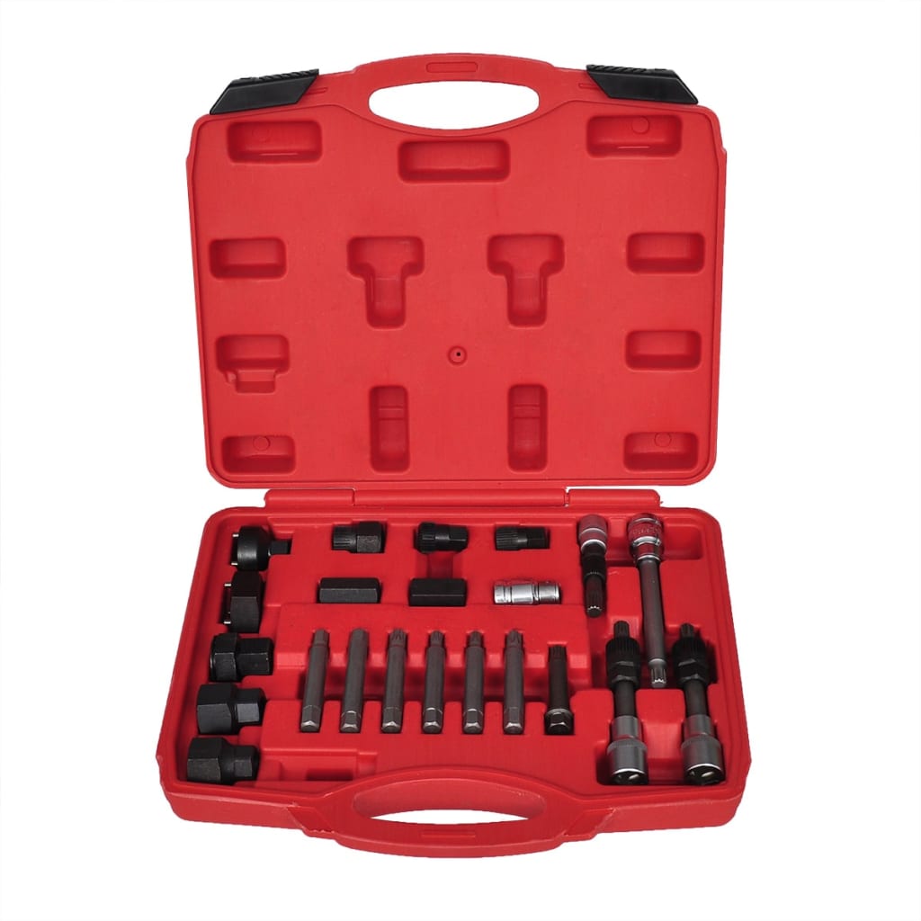 Strumenti per auto alternatore Vidaxl Set 22 ST