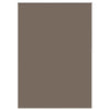 Vidaxl rolgordijn verduisterend 164,4 x 230 cm stofbreedte 160 cm koffiebruin