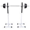 Vidaxl halter- en gewichtenstandaard
