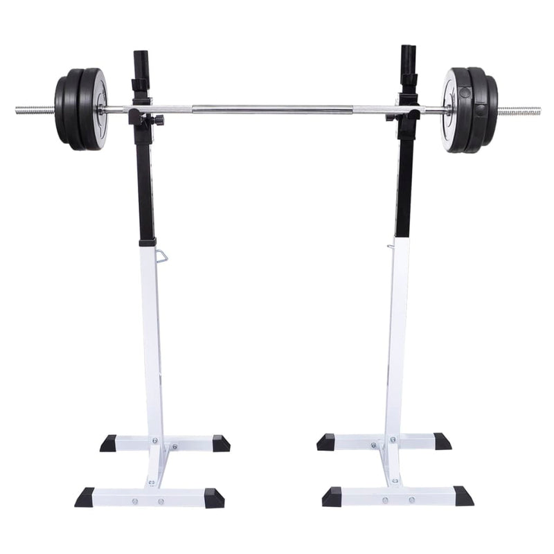 Vidaxl halter- en gewichtenstandaard